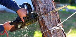 Lawn Irrigation Installation and Maintenance in Long Beach, WA